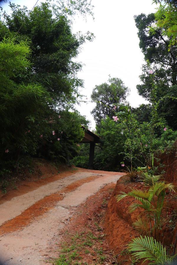 Coorg Nature Breeze Home Stay Мадікері Екстер'єр фото