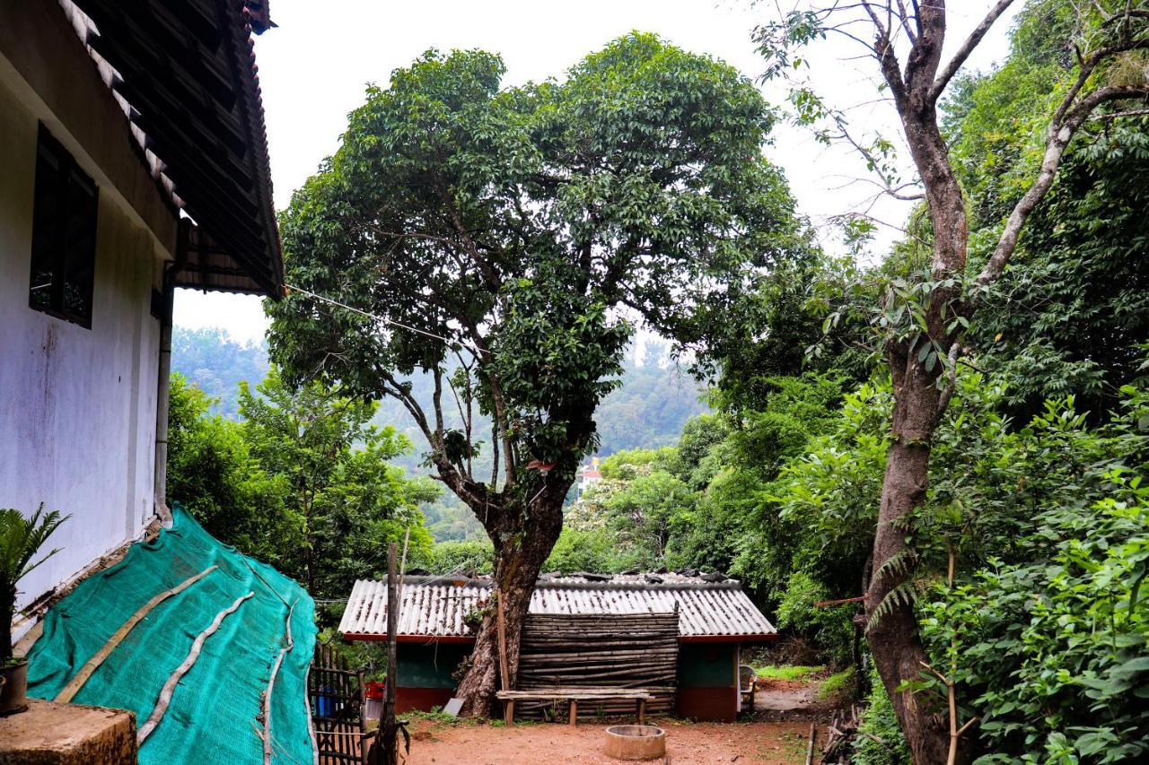 Coorg Nature Breeze Home Stay Мадікері Екстер'єр фото