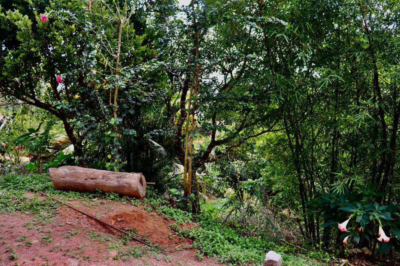 Coorg Nature Breeze Home Stay Мадікері Екстер'єр фото